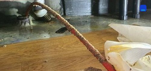 가회동 하수구막힘 오피스텔 악취 배관 세척
